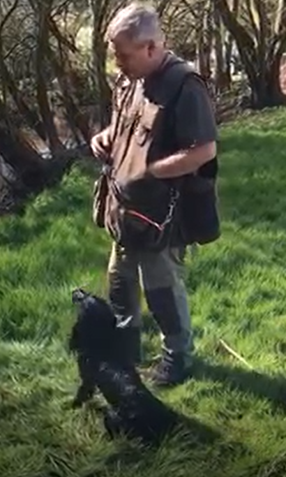 Gun Dog Training