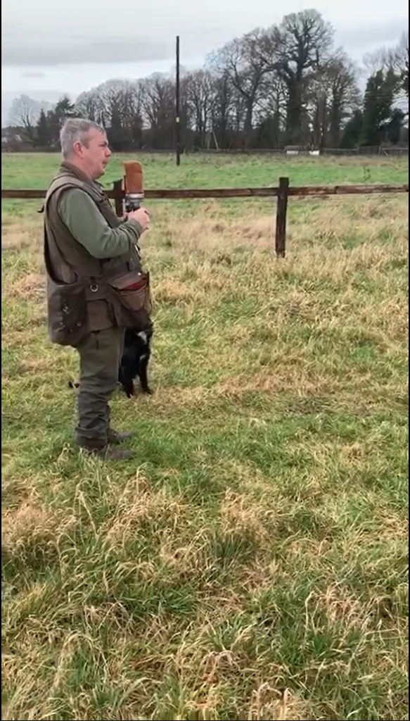 Gun Dog Training